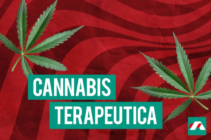 Cannabis Terapeutica
